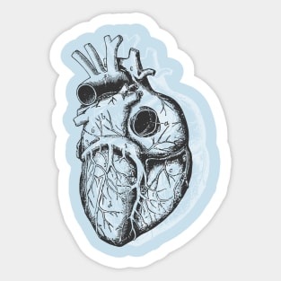 Anatomical Heart • Pastel Goth Sticker